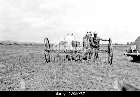 Farmer in Wyoming standing next to horse drawn farm equipment ca. 1938 Stock Photo