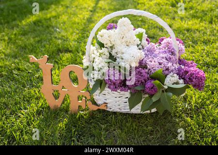 wicker basket with a bouquet of fresh blooming lilacs in white and purple flowers on a green lawn on a sunny day. Nearby is the wooden word love. Flor Stock Photo