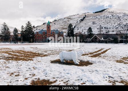 Snowman grizzly bear on winter day at University of Montana campus Stock Photo