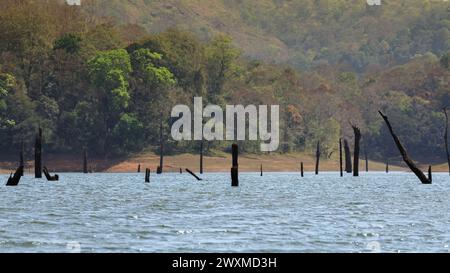 Beautiful landscape photos of Periyar tiger reserve / Thekkady Tourism ...