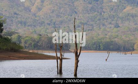 Beautiful landscape photos of Periyar tiger reserve / Thekkady Tourism ...