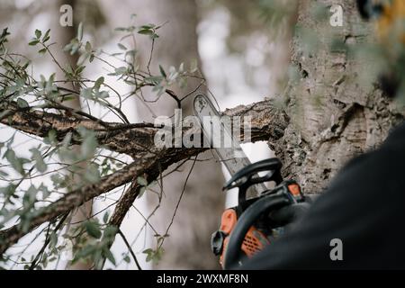 A man cutting a tree with a circular saw Stock Photo