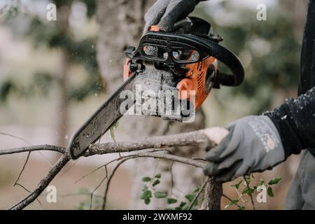A man cutting a tree with a circular saw Stock Photo