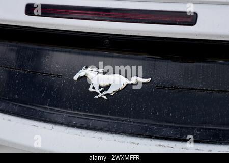 Minsk, Belarus, April 1, 2024 - close-up of the Ford Mustang logo on a car Stock Photo