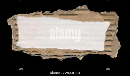 Torn piece of white cardboard, background, frame. Blank paper piece message, reminder, sign, tag, label, ad. Corrugated ripped cardboard empty Stock Photo