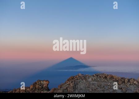 Teide volcano casting a large triangular shadow over a pastel-colored sky and layer of clouds at sunrise, Tenerife Stock Photo