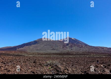 Tenerife volcanic mountain landscape with expansive lava field under clear blue sky in a dry and rugged terrain with Teide volcano in the background Stock Photo