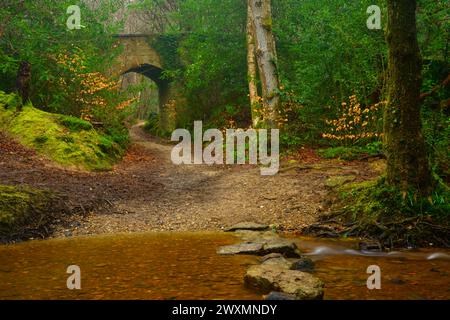 The Vachery arch on Ashdown forest. Stock Photo