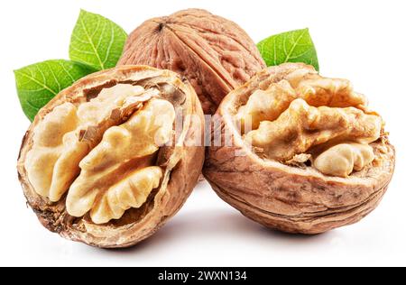 Whole walnut and walnut kernel  with leaves isolated on white background. Stock Photo