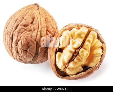 Whole walnut and walnut kernel isolated on white background. Stock Photo