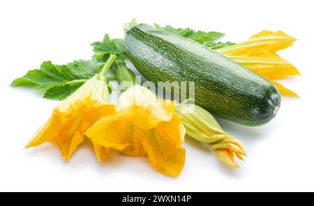 Fresh courgette or zucchini with leaf and zucchini flowers isolated on white background. Stock Photo