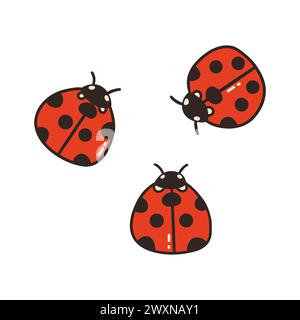 Three ladybugs. Cute red insects with black polka dots. Spring and summer season. Colorful vector isolated illustration hand drawn doodle Stock Vector