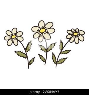 Three Chamomiles flowers. Sprigs with blooming daisies. Colorful vector doodle style illustration hand drawn. Floral element with contour. Icon, card Stock Vector
