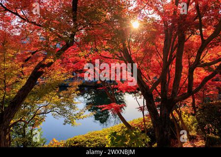 Vibrant red autumn foliage in Eikan-do Zenrin-ji temple, Kyoto, Japan. Stock Photo