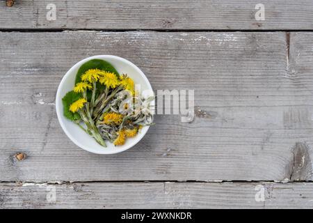 White bowl with fresh and dried coltsfoot on a wooden background Stock Photo