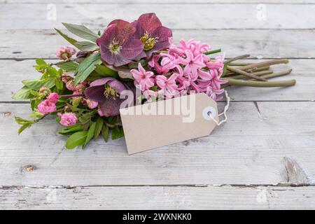 Greeting card with pink hyacinths, Christmas roses and copy space Stock Photo