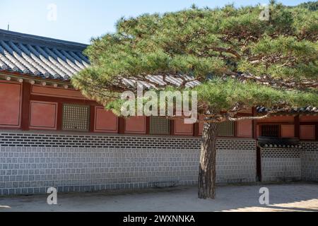 Hwaseong Haenggung, temporary palace where the king used to stay when he traveled outside of Seoul, South Korea. with the autumn nature background. It Stock Photo