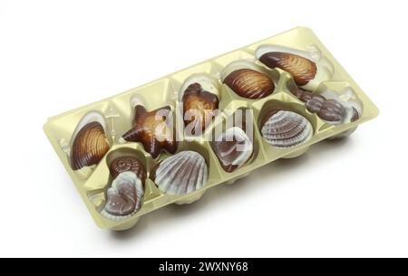 Seashell shaped praline collection. Chocolate seafood in plastic packaging isolated on white background Stock Photo