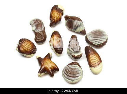 Set of seashell seahorse and starfish shaped chocolate pralines isolated on white background Stock Photo