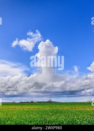 Higher altitude Cumulonimbus cloud forming from Cumulus, Stratocumulus and Nimbostratus base - central France. Stock Photo