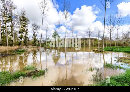 Waterlogged site after felling Poplar (Peuplier) trees now surrounded by flood waters after river Claise burst it's banks - central France. Stock Photo