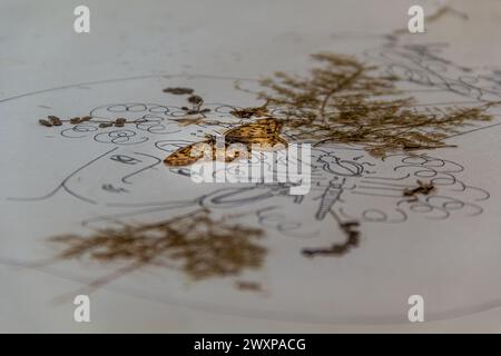 Close-up of a miniature painted plate Stock Photo
