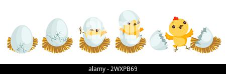 Chicken hatching stages. Gradual hatch of little chicken from egg. Easter mascot. Yellow fluffy bird birth. Domestic animal. Nestling breaking shell Stock Vector