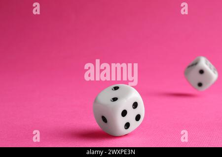 Two white game dices falling on pink background, closeup. Space for text Stock Photo