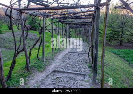 Wooden pergola with path in the garden, Stock Photo