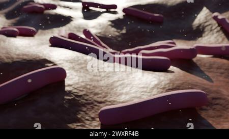 3d animation of Mycobacterium leprae, is a gram-positive bacteria that causes leprosy, also known as Hansen's disease Stock Photo