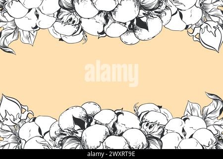 Rectangular horizontal frame with cotton flowers and space for text. Linear sketch of white cotton balls, leaves and branches. Retro ink vector illust Stock Vector