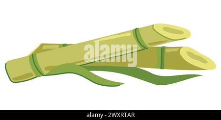 Sugar cane with green leaves and yellow stems. Vector illustration. Cut out reed shoots in flat style on a white background. Ingredient for making sug Stock Vector