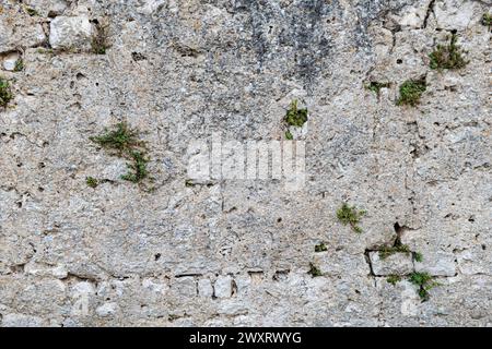 Texture of an old wall made from stone Stock Photo