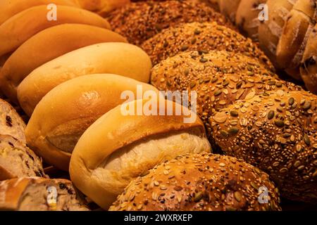 A closeup shot of assorted breads neatly arranged on bakery shelves Stock Photo