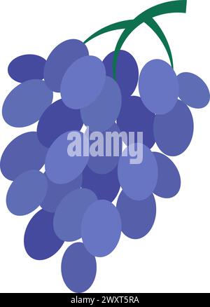 Bunch of ripe juicy grapes. Picking summer grapes berries for winery. Summer vacation icon. Simple flat cartoon vector isolated on white background Stock Vector