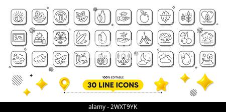 Sunflower seed, Cherry and Orange juice line icons pack. For web app. 3d design elements. Vector Stock Vector
