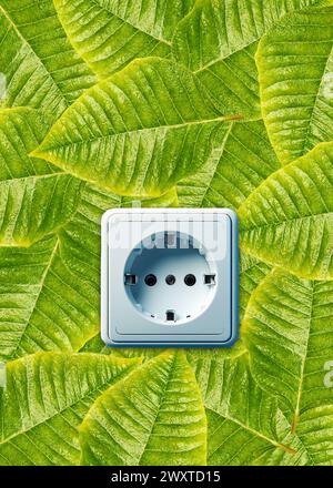 electricity socket over a leaves background, green energy concept Stock Photo