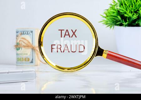 TAX FRAUD through a magnifying glass on a gray background, a roll of banknotes and a green plant in the background Stock Photo