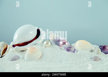 Seashells and pearls on the sand. Isolated on a gray background, free space for your decoration. Stock Photo