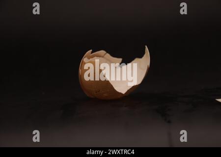 Egg Shell 7 Stock Photo