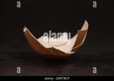 Egg Shell 2 Stock Photo