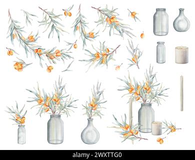 Set of watercolor illustration sea buckthorn branches with orange berries and green leaves isolated on white background. Elements clipart hand drawing Stock Photo