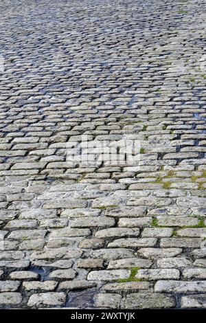 cobbled road Stock Photo