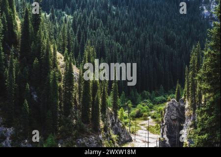 landscape with a beautiful fir spruce forests in the Tien Shan mountains in Kazakhstan in summer. Top view from a drone Stock Photo