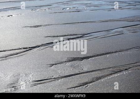 Sea weed patterns on the wet sand of Skarðsvík golden beach, Iceland Stock Photo