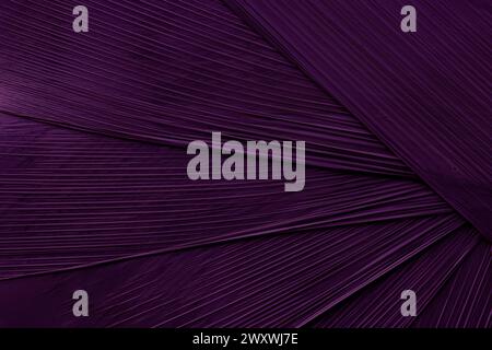 Purple abstract plastic foil background Stock Photo