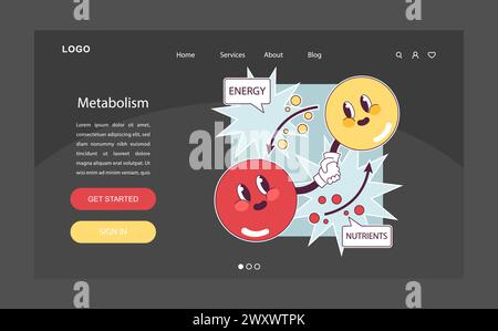 Endocrine system function. Cellular metabolism. Biochemical reaction in ...