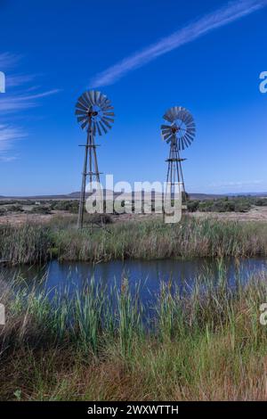 Vertical image of two old school metal windmills in the semi arid Karoo area of South Africa.  In the foreground is a large pond of water from created Stock Photo