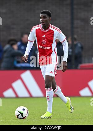 AMSTERDAM - Jinairo Johnson of Ajax U17 during the Ajax Future Cup 2024 match between Ajax o17 and FK Partizan o17 at De Toekomst sports complex on April 1, 2024 in Amsterdam, Netherlands. ANP | Hollandse Hoogte | GERRIT VAN COLOGNE Stock Photo