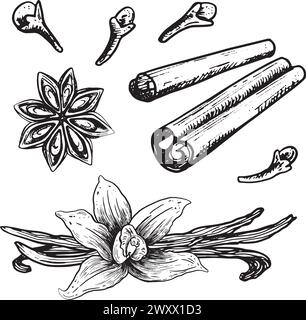 Ink hand drawn spices set. Sketch Vector aromatic ingredient in engraving style. Isolated on white background. Stock Vector